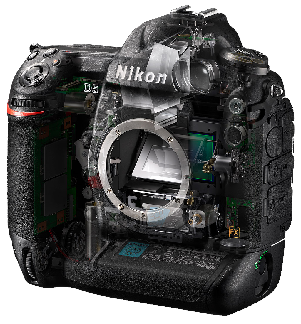 Nikon D5 proc